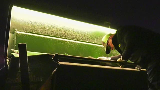 Optional box lid lights