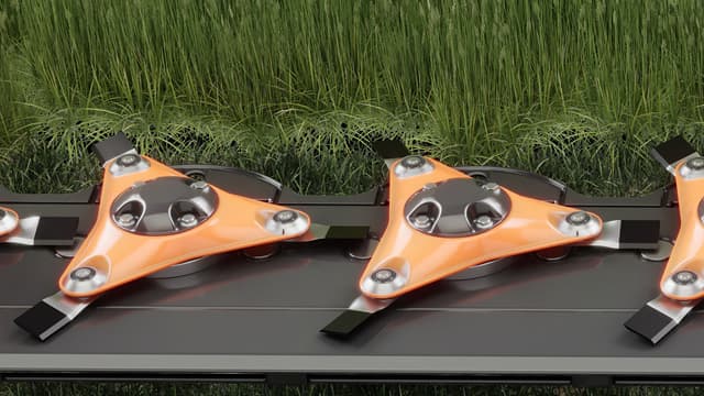 Disques à trois lames