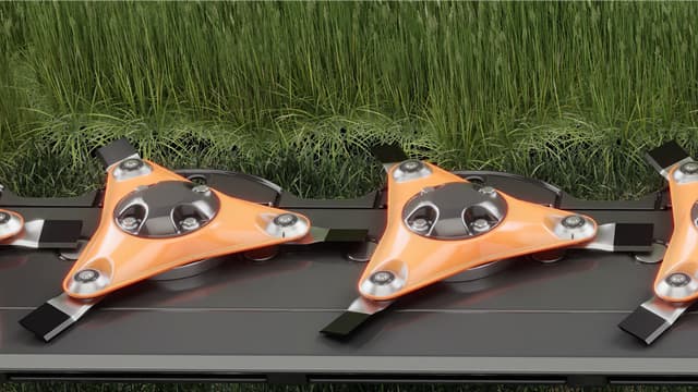 Disques à trois lames