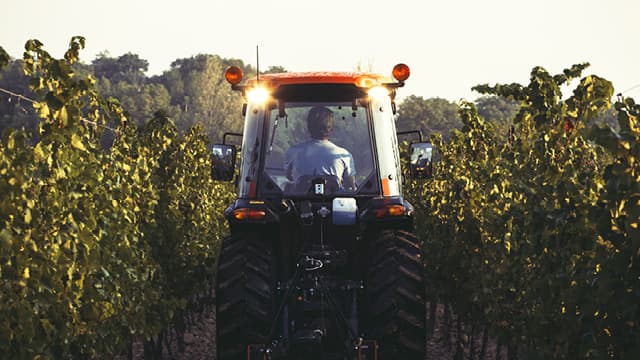 Suffisamment étroit pour travailler les rangs de vignes