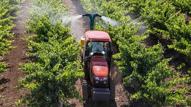 Suffisamment étroit pour travailler les rangs de vignes et assez puissant pour faire partie de la gamme M