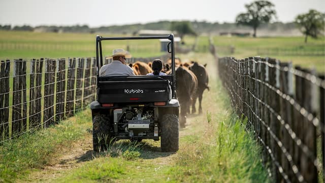 Performant au quotidien