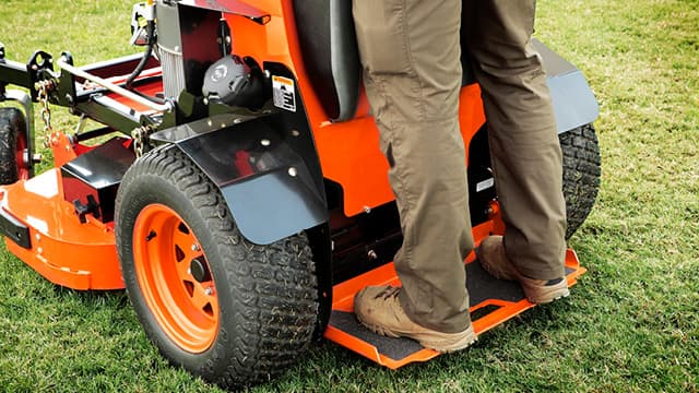 Tondez comme bon vous semble