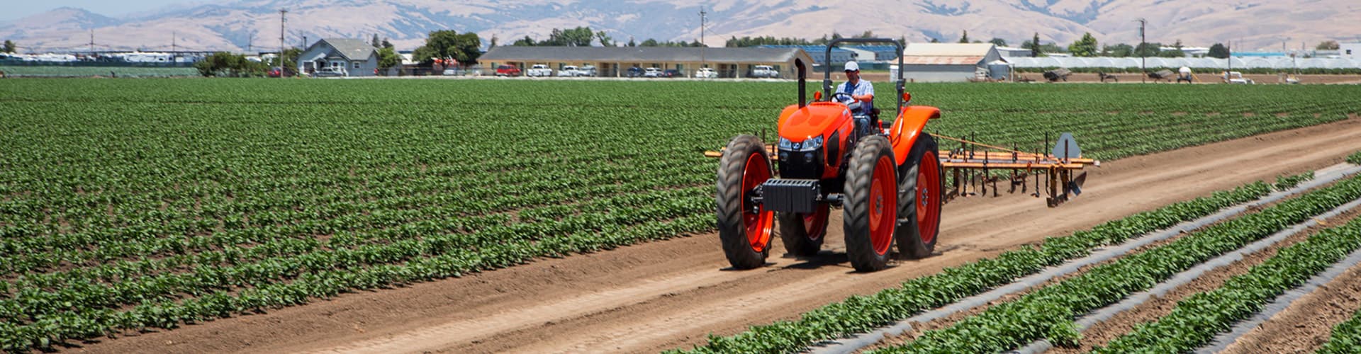 Tracteurs spécialisés